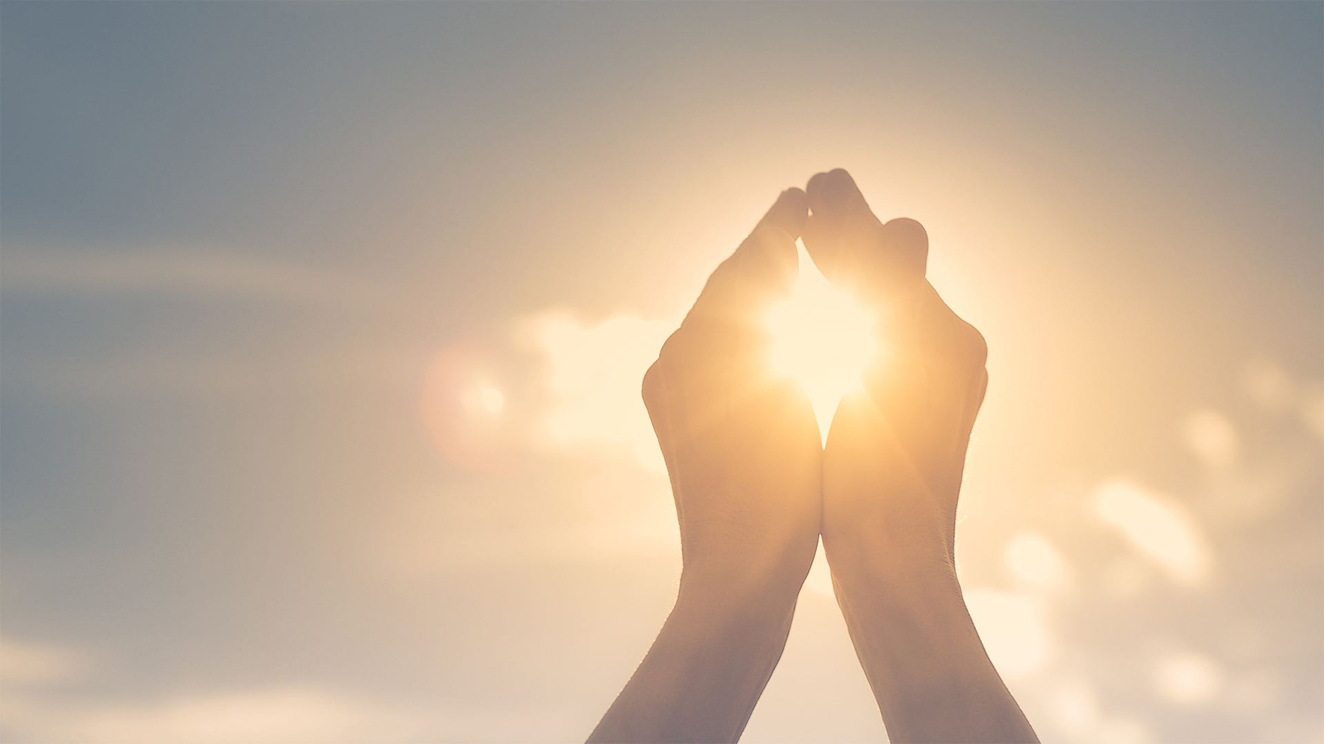 Praying hands in the sunlight